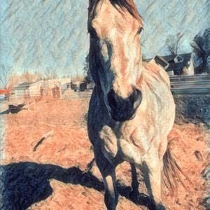 Meet your Posher, Kennedi